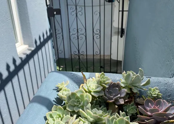 Kemptown Courtyard Apartment