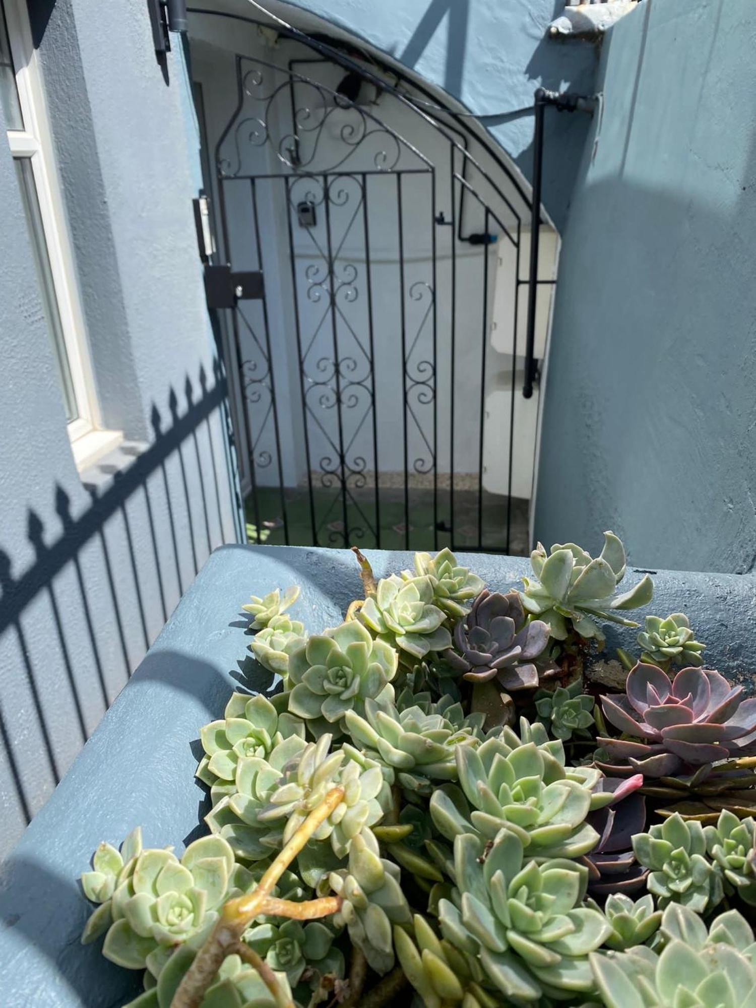 Kemptown Courtyard *